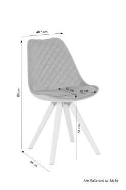 2er-Set: Esszimmerstuhl Arik In Grau - 48,5 (B) X 55 (L) X 85 (H) Cm -Petromax Store byliving 2er set esszimmerstuhl arik in grau 48 5 b x 55 l x 85 h cm 3