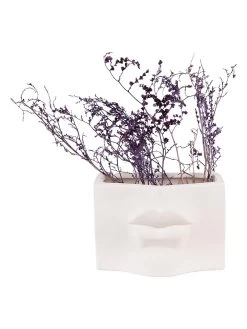 Blumentopf In Weiß - (B)17 X (H)11 X (T)7 Cm 10 Blumentopf In Weiß - (B)17 X (H)11 X (T)7 Cm -Petromax Store clayre and eef blumentopf in weiss b 17 x h 11 x t 7 cm 3