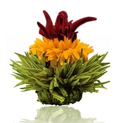 6er Box ErblühTee Grüntee Fruity Flavor -Petromax Store creano 6er box erbluhtee gruntee fruity flavor 3