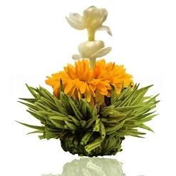 6er Box ErblühTee Grüntee Fruity Flavor -Petromax Store creano 6er box erbluhtee gruntee fruity flavor 4