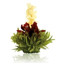 6er Box ErblühTee Grüntee Fruity Flavor -Petromax Store creano 6er box erbluhtee gruntee fruity flavor 5