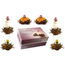 6er Box: ErblühTee Schwarztee
