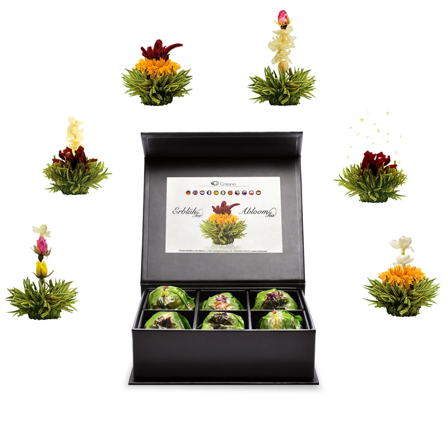 6er Magnetbox ErblühTee Grüntee Fruity Flavor 4 6er Magnetbox ErblühTee Grüntee Fruity Flavor – Bild 2