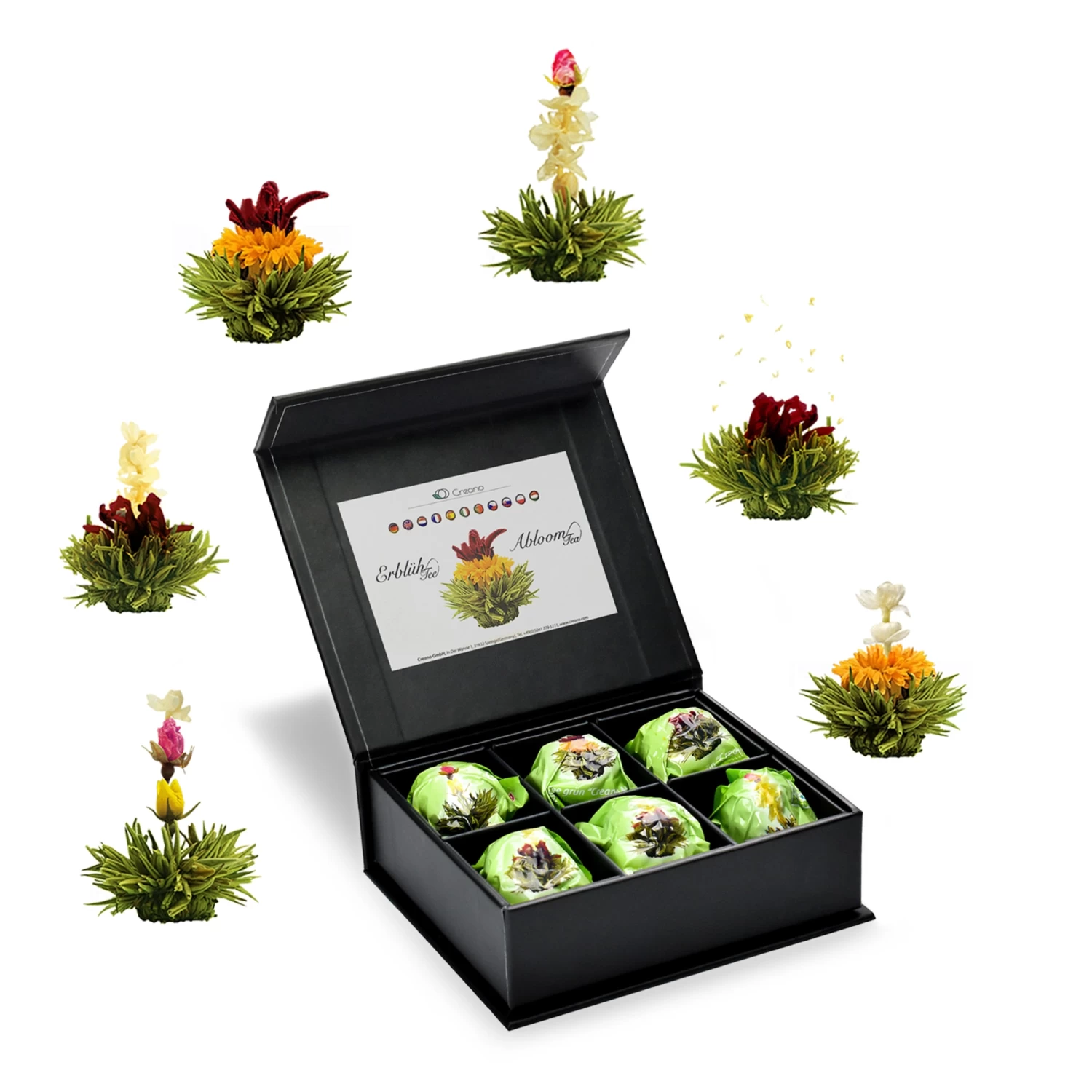 6er Magnetbox ErblühTee Grüntee Fruity Flavor 3 6er Magnetbox ErblühTee Grüntee Fruity Flavor