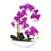 Deko-Orchidee Phalaenopsis In Lila -Petromax Store creativ green deko orchidee phalaenopsis in lila