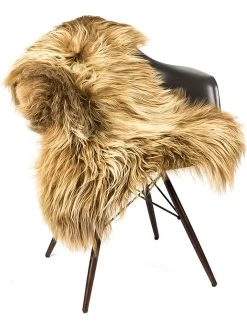 Lammfell In Rostbraun -Petromax Store hofbrucker lammfell in rostbraun 1