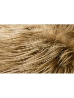 Lammfell In Rostbraun -Petromax Store hofbrucker lammfell in rostbraun 2