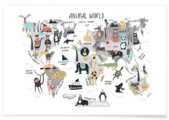 Poster "Animal Kingdom" In Bunt & Weiß