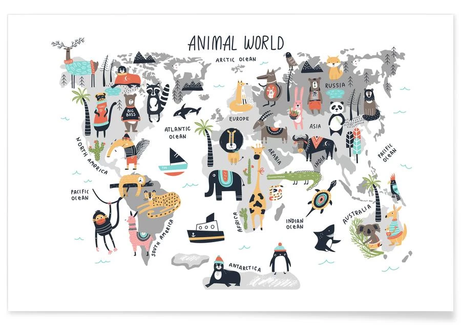 Poster "Animal Kingdom" In Bunt & Weiß 3 Poster "Animal Kingdom" In Bunt & Weiß