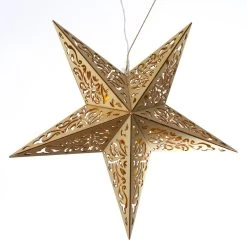 LED Holzstern Leuchtstern 5-zackig Inkl. Fenbedienung D: 40cm In Natur