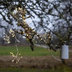 LED Lichterkette 8 Büscheln Blüten Dekolichterkette L: 2,1m In Silber 14 LED Lichterkette 8 Büscheln Blüten Dekolichterkette L: 2,1m In Silber -Petromax Store marelida led lichterkette 8 buscheln bluten dekolichterkette l 2 1m in silber 4