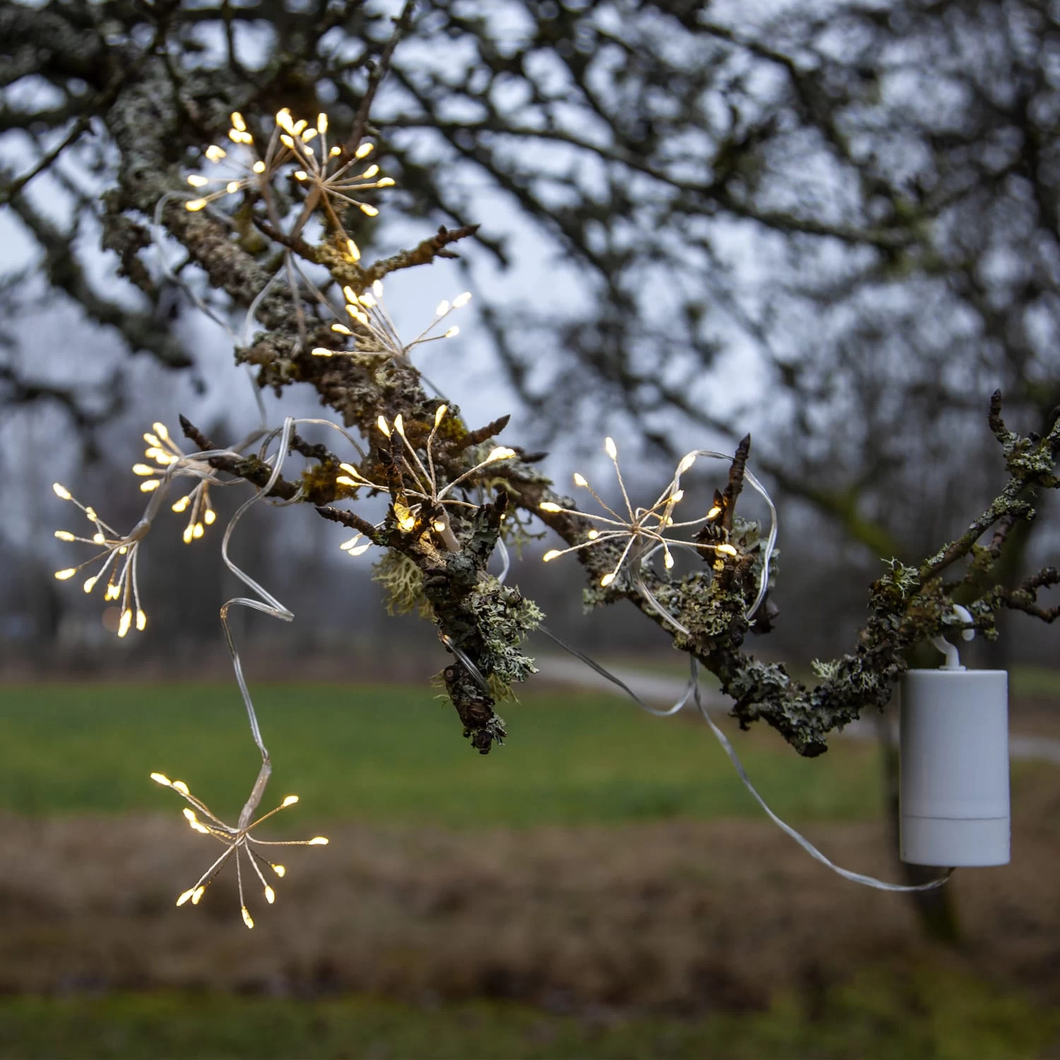 LED Lichterkette 8 Büscheln Blüten Dekolichterkette L: 2,1m In Silber 7 LED Lichterkette 8 Büscheln Blüten Dekolichterkette L: 2,1m In Silber – Bild 5