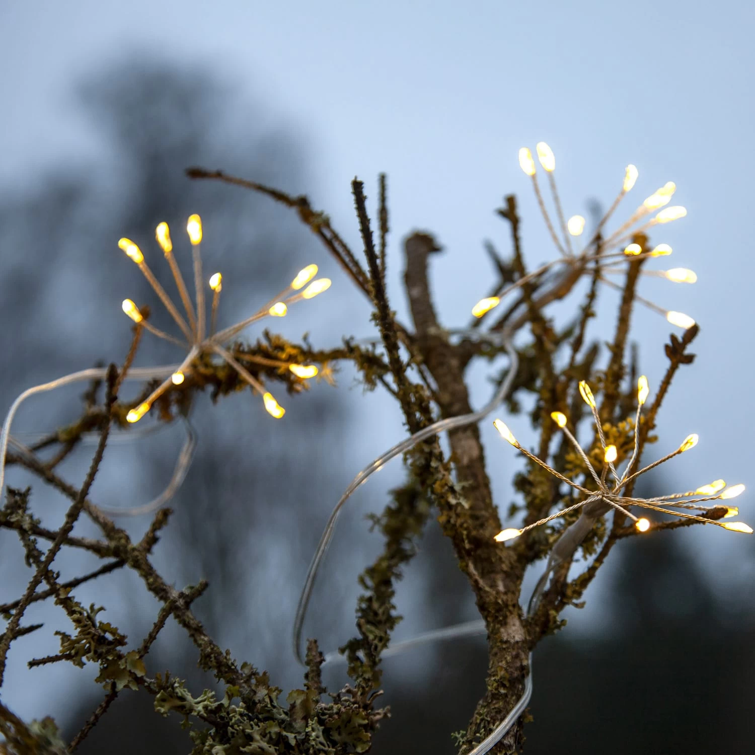 LED Lichterkette 8 Büscheln Blüten Dekolichterkette L: 2,1m In Silber 9 LED Lichterkette 8 Büscheln Blüten Dekolichterkette L: 2,1m In Silber – Bild 7