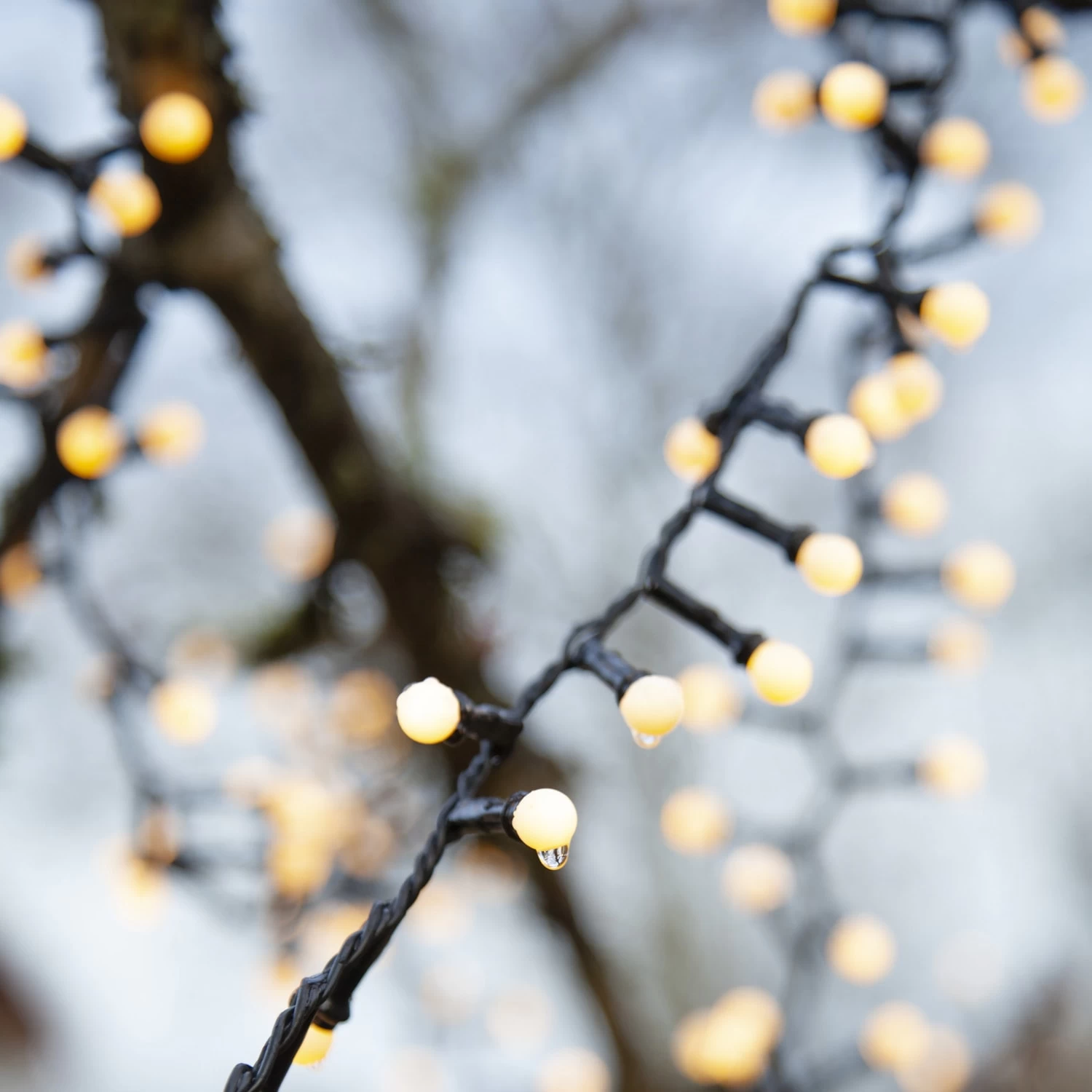 LED Lichterkette Berry Mini Opal 700LED 8 Funktionen Auch Für Außen L: 14m 6 LED Lichterkette Berry Mini Opal 700LED 8 Funktionen Auch Für Außen L: 14m – Bild 4