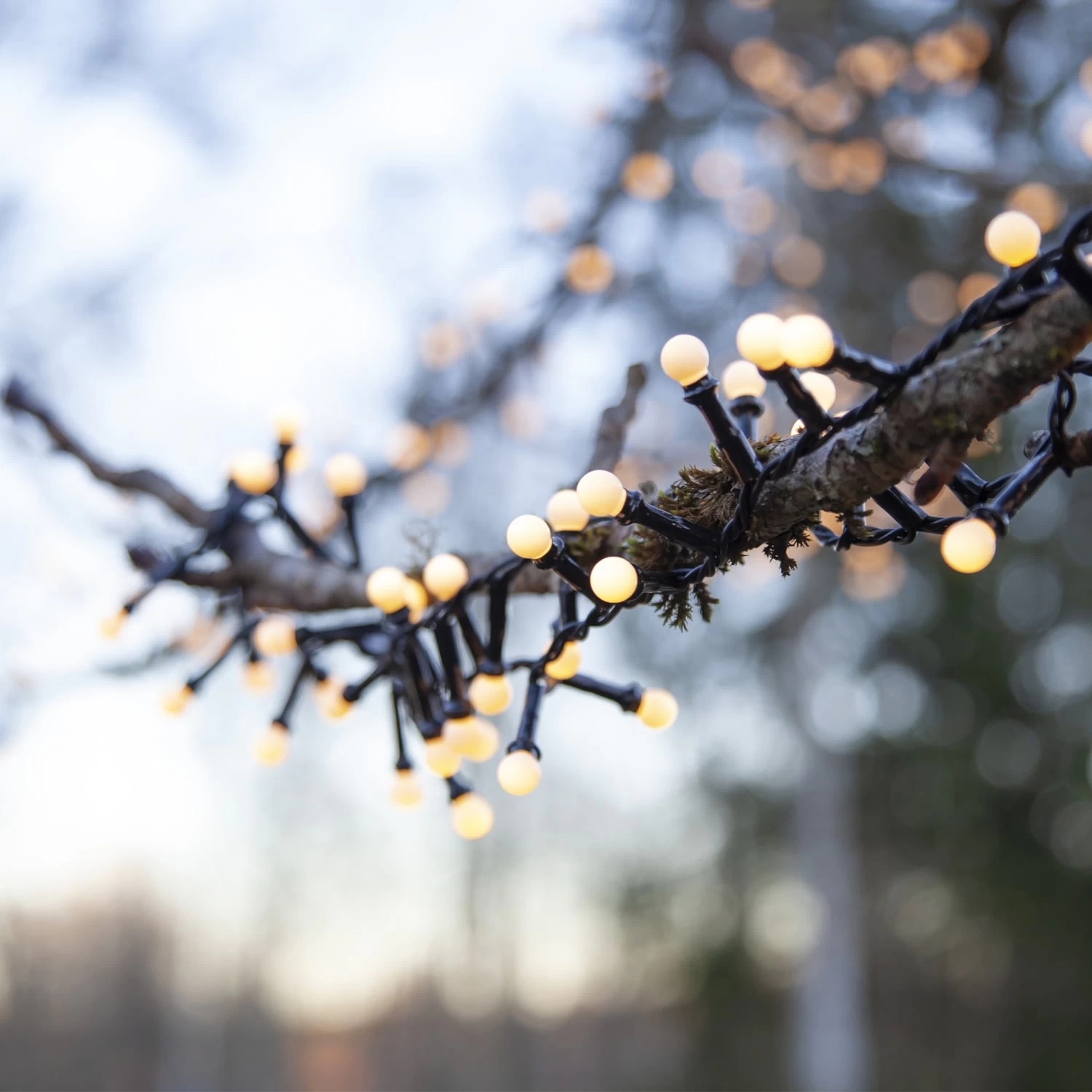 LED Lichterkette Berry Mini Opal 700LED 8 Funktionen Auch Für Außen L: 14m 7 LED Lichterkette Berry Mini Opal 700LED 8 Funktionen Auch Für Außen L: 14m – Bild 5