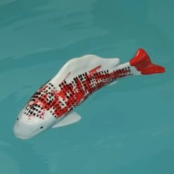 Teichdeko Fisch Dekofigur Schwimmend Porzellan L: 27cm In Rot, Weiß
