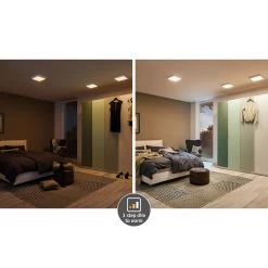 Paulmann WallCeiling Carpo LEDPanel WarmDim 400x400mm 21W Chrom M 230V Metall 19 Paulmann WallCeiling Carpo LEDPanel WarmDim 400x400mm 21W Chrom M 230V Metall -Petromax Store paulmann wallceiling carpo ledpanel warmdim 400x400mm 21w chrom m 230v metall 7