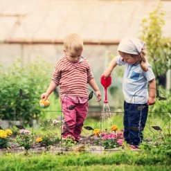 10tlg. Beetzaun Set In Schwarz - (B)500 X (H)46 Cm -Petromax Store relaxdays 10tlg beetzaun set in schwarz b 500 x h 46 cm 2