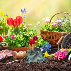 2 X Gartenfigur Froschkönig In Grün - Größe L -Petromax Store relaxdays 2 x gartenfigur froschkonig in grun grosse l 2