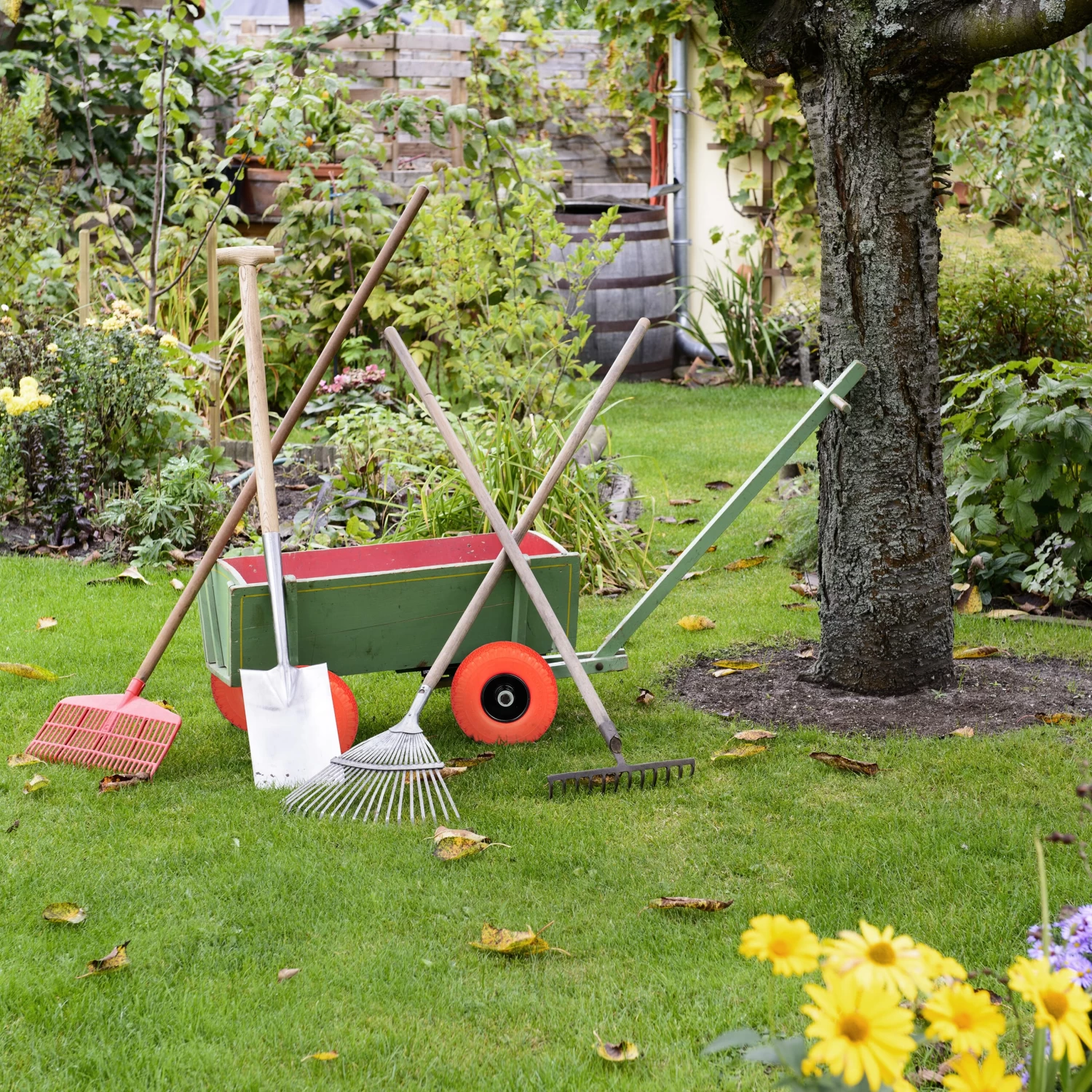 2 X Schubkarrenrad In Schwarz/ Orange - 3.00-4 5 2 X Schubkarrenrad In Schwarz/ Orange - 3.00-4 – Bild 3