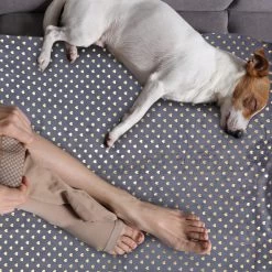 5x Kuscheldecke In Grau/ Weiß - (B)150 X (T)200 Cm 11 5x Kuscheldecke In Grau/ Weiß - (B)150 X (T)200 Cm -Petromax Store relaxdays 5x kuscheldecke in grau weiss b 150 x t 200 cm 2