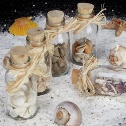 5x Muscheldeko In Natur 14 5x Muscheldeko In Natur -Petromax Store relaxdays 5x muscheldeko in natur 4