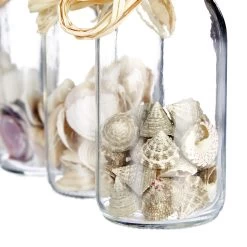 5x Muscheldeko In Natur 15 5x Muscheldeko In Natur -Petromax Store relaxdays 5x muscheldeko in natur 5