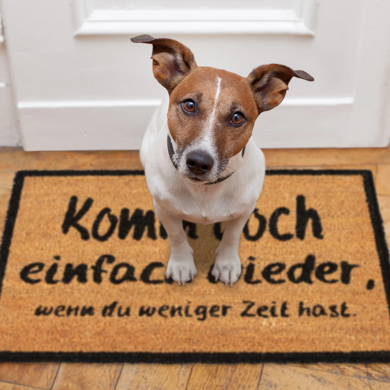 Fußmatte Komm Wieder In Natur/Schwarz - 40 X 60 Cm 7 Fußmatte Komm Wieder In Natur/Schwarz - 40 X 60 Cm – Bild 5