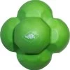 Reaktionsball In Grün 2 Reaktionsball In Grün -Petromax Store schildkrot fitness reaktionsball in grun