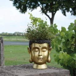 Buddha Pflanztopf In Gold 8 Buddha Pflanztopf In Gold -Petromax Store unus buddha pflanztopf in gold 2