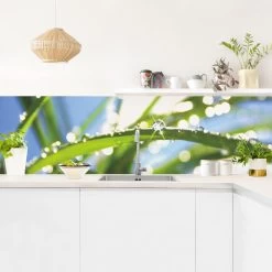 Küchenrückwand - Kiss Of Sun In Grün -Petromax Store wallart kuchenruckwand kiss of sun in grun 2