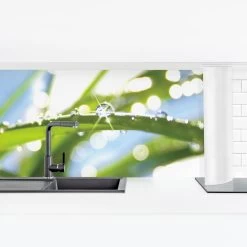 Küchenrückwand - Kiss Of Sun In Grün