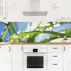 Küchenrückwand - Kiss Of Sun In Grün -Petromax Store wallart kuchenruckwand kiss of sun in grun 3