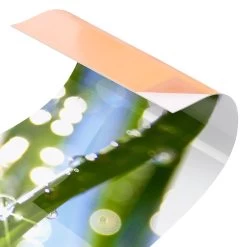 Küchenrückwand - Kiss Of Sun In Grün -Petromax Store wallart kuchenruckwand kiss of sun in grun 4