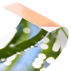 Küchenrückwand - Kiss Of Sun In Grün -Petromax Store wallart kuchenruckwand kiss of sun in grun 5