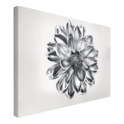 Leinwandbild - Dahlie Blume Silber Metallic In Silber 14 Leinwandbild - Dahlie Blume Silber Metallic In Silber -Petromax Store wallart leinwandbild dahlie blume silber metallic in silber 4