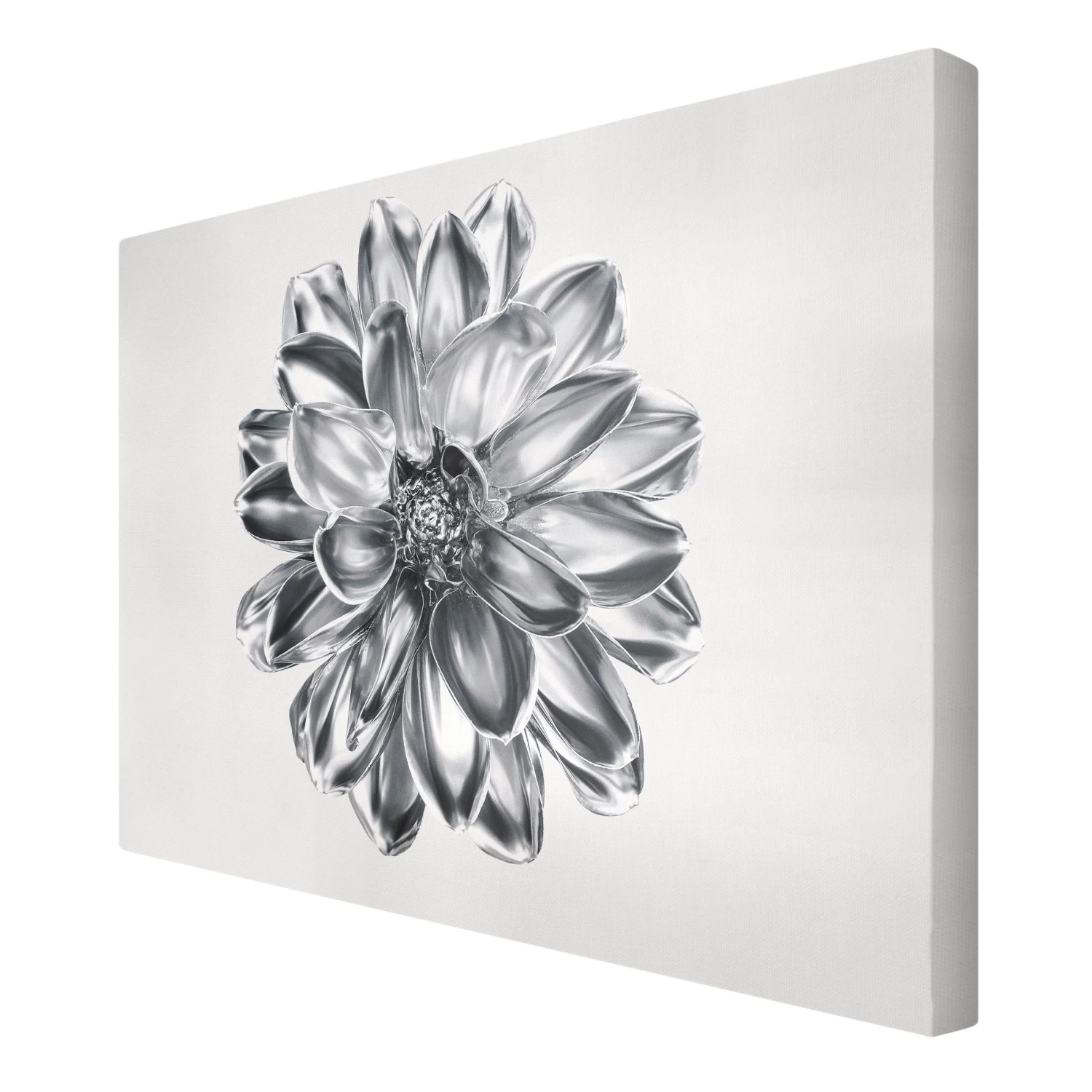 Leinwandbild - Dahlie Blume Silber Metallic In Silber 8 Leinwandbild - Dahlie Blume Silber Metallic In Silber – Bild 6