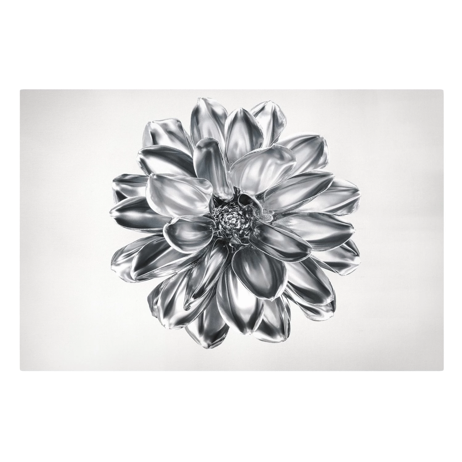 Leinwandbild - Dahlie Blume Silber Metallic In Silber 3 Leinwandbild - Dahlie Blume Silber Metallic In Silber