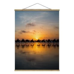 Stoffbild Mit Posterleisten - Kamele Im Sonnenuntergang In Orange