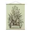 Stoffbild - Vintage Aloe Vera Americana Major In Pastell -Petromax Store wallart stoffbild vintage aloe vera americana major in pastell
