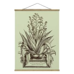 Stoffbild - Vintage Aloe Vera Americana Major In Pastell 13 Stoffbild - Vintage Aloe Vera Americana Major In Pastell -Petromax Store wallart stoffbild vintage aloe vera americana major in pastell 4