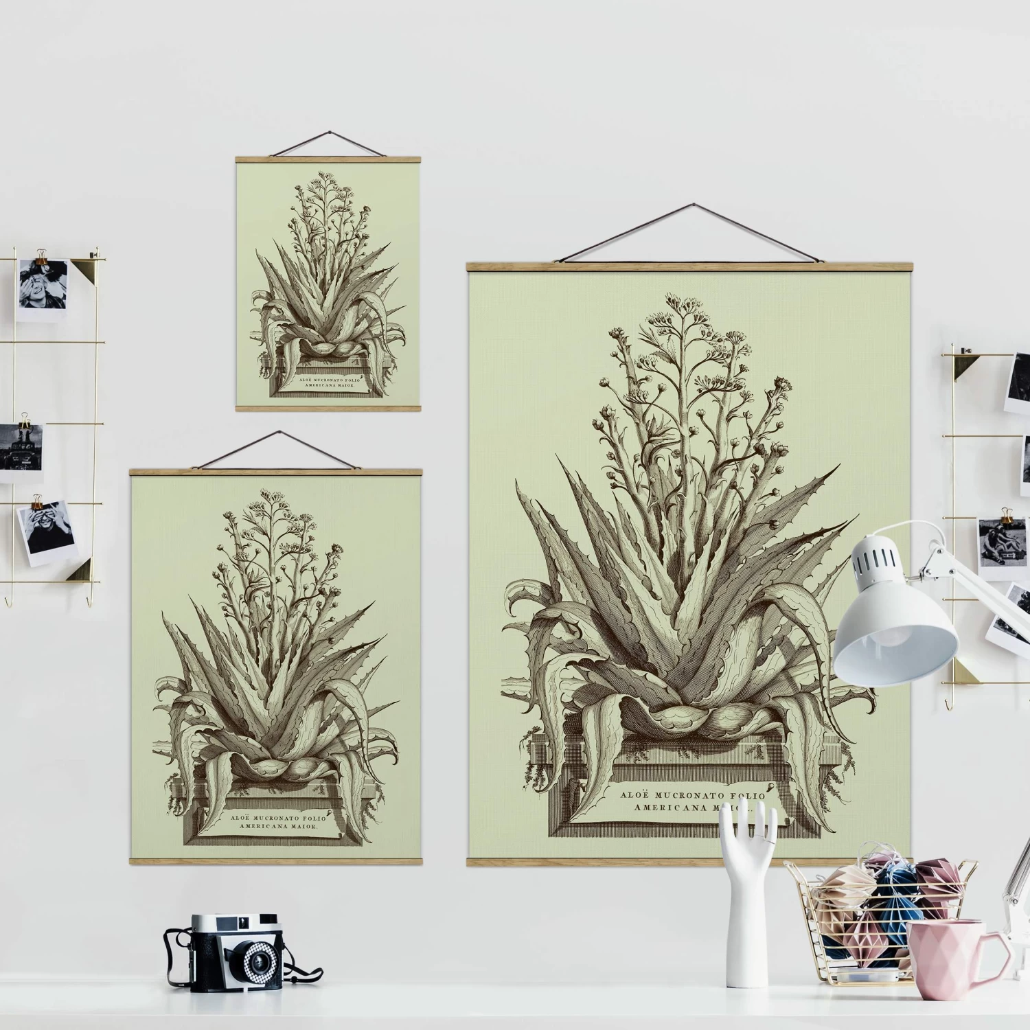 Stoffbild - Vintage Aloe Vera Americana Major In Pastell 9 Stoffbild - Vintage Aloe Vera Americana Major In Pastell – Bild 7